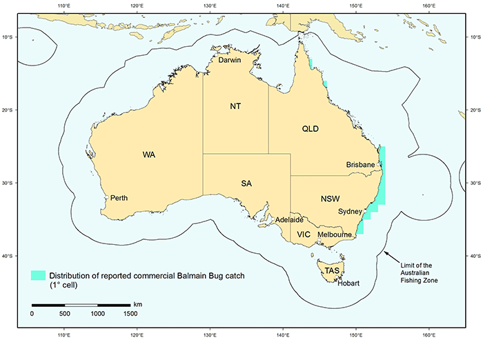 Figure 1: Distribution of reported commercial catch of Balmain Bug in Australian waters, 2010 