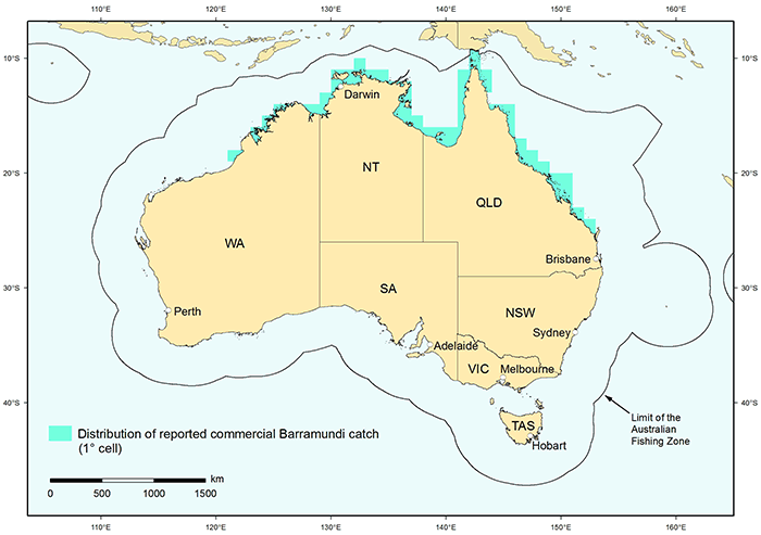 Figure 1: Distribution of reported commercial catch of Barramundi in Australian waters, 2010 