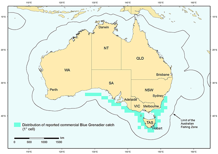Figure 1: Distribution of reported commercial catch of Blue Grenadier in Australia waters, 2010 