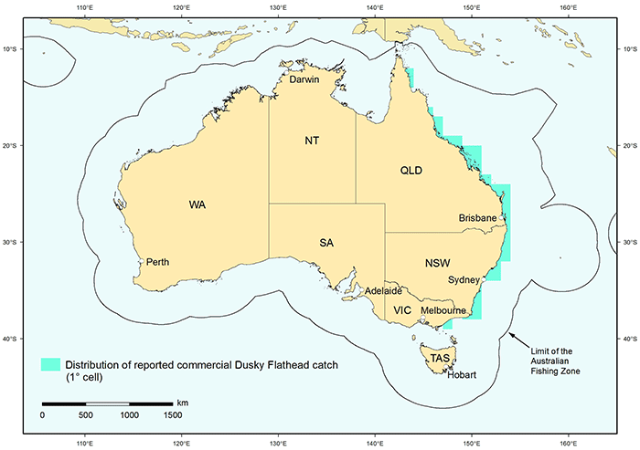 Figure 1: Distribution of reported commercial catch of Dusky Flathead in Australian waters, 2010 