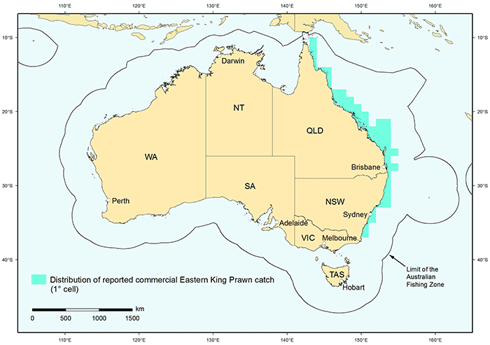 Figure 1: Distribution of reported commercial catch of Eastern King Prawn in Australian waters, 2010