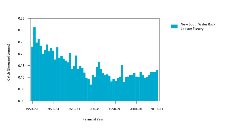 (a) Commercial catch of Eastern Rocklobster in New South Wales, 1950–51 to 2010–11 (financial year)