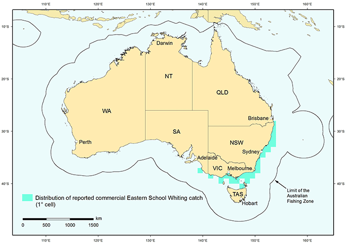 Figure 1: Distribution of reported commercial catch of Eastern School Whiting in Australian waters, 2010 
