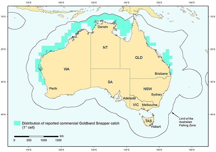 Figure 1: Distribution of reported commercial catch of Goldband Snapper in Australian waters, 2010 