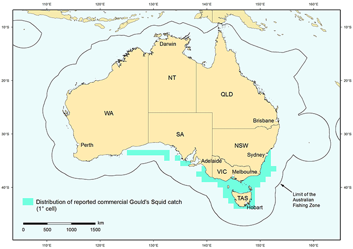 Figure 1: Distribution of reported commercial catch of Gould's Squid in Australian waters, 2010 (calendar year)
