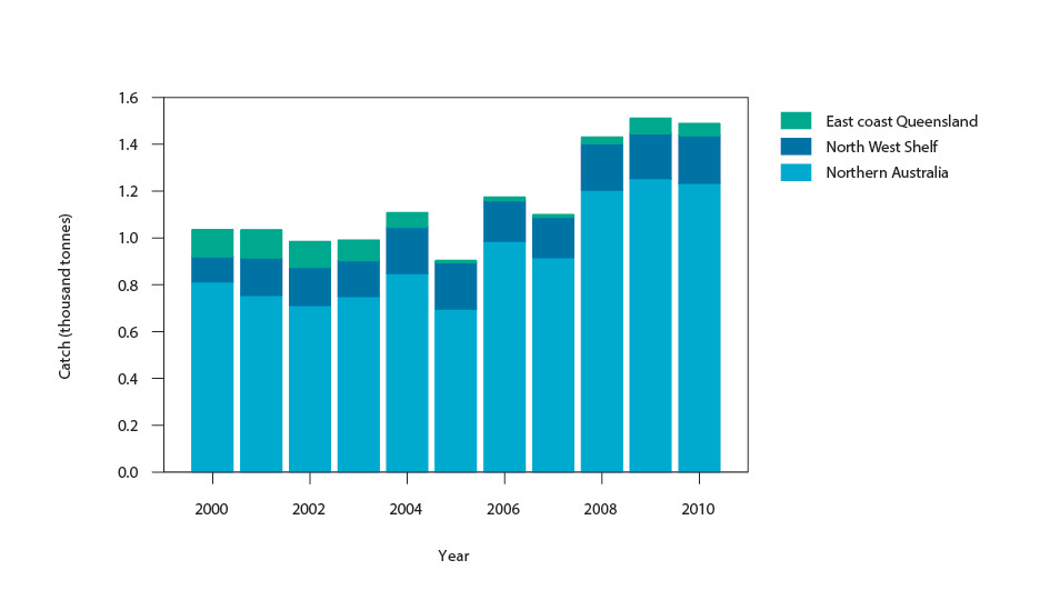 Figure 2: Commercial catch of Saddletail Snapper in Australian waters, 2000–10 (calendar year) 