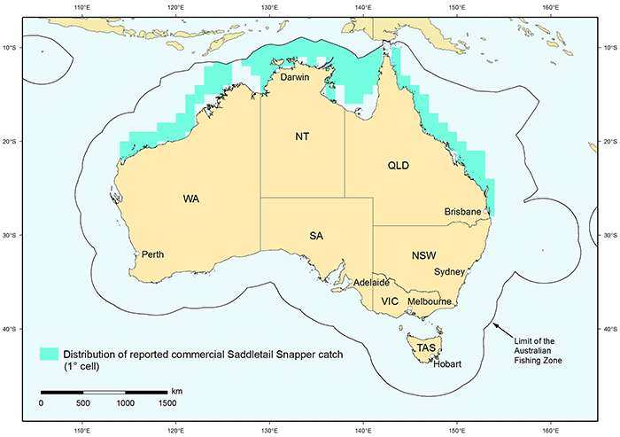 Figure 1: Distribution of reported commercial catch of Saddletail Snapper in Australian waters, 2010 
