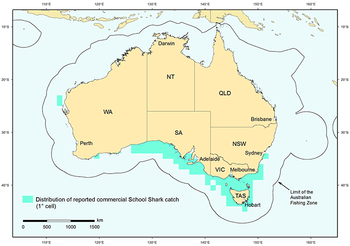 Figure 1: Distribution of reported commercial catch of School Shark in Australian waters, 2010 