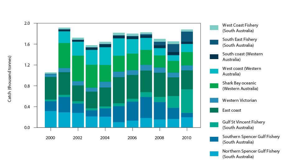 Figure 2: Commercial catch of Snapper in Australian waters, 2000–10 (calendar year) 