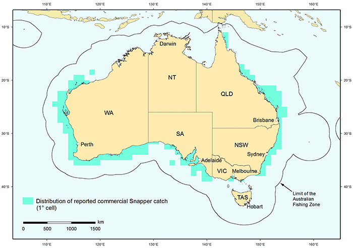 Figure 1: Distribution of reported commercial catch of Snapper in Australian waters, 2010 