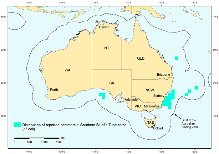 Figure 1: Distribution of reported commercial catch of Southern Bluefin Tuna in Australian fisheries, 2010 
