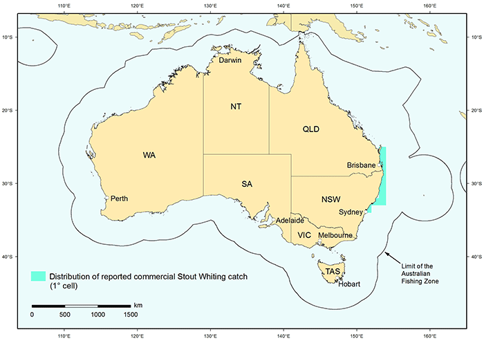 Figure 1: Distribution of reported commercial catch of Stout Whiting in Australian waters, 2010 