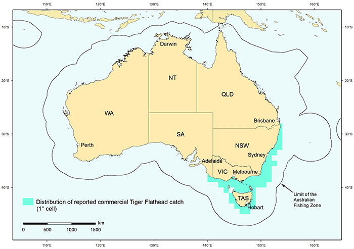 Figure 1: Distribution of reported commercial catch of Tiger Flathead in Australian waters, 2010 