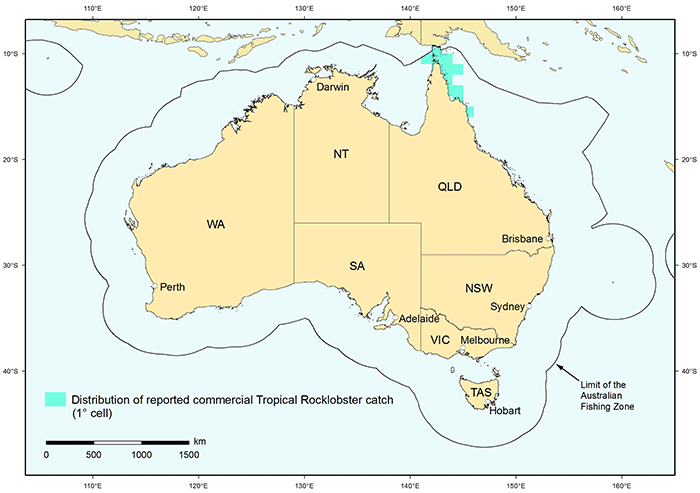 Figure 1: Distribution of reported commercial catch of Tropical Rocklobster in Australian waters, 2010 </p>
