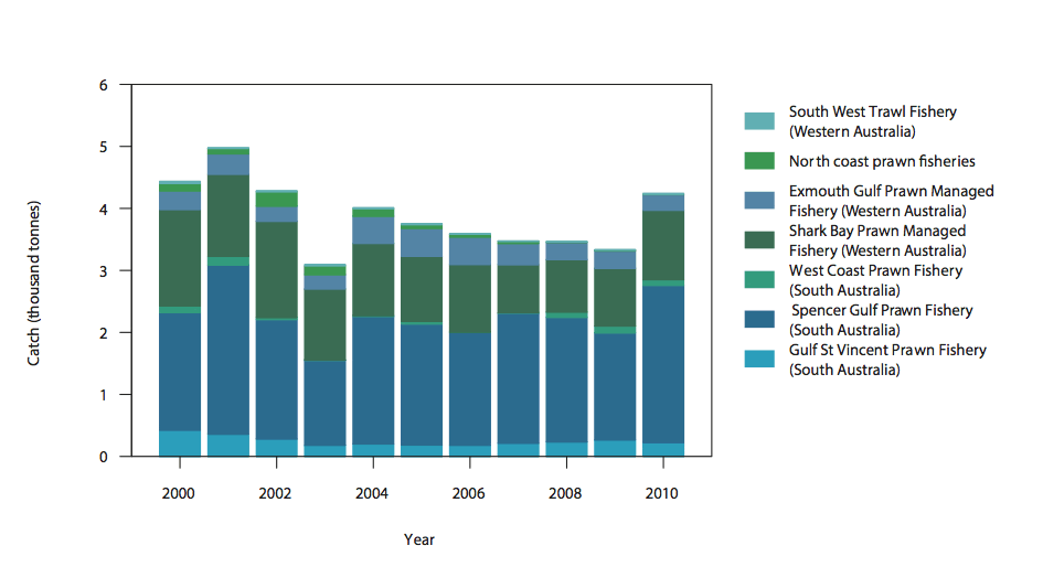 Figure 2: Commercial catch of Western King Prawn in Australian waters, 2000–10 (calendar year) 