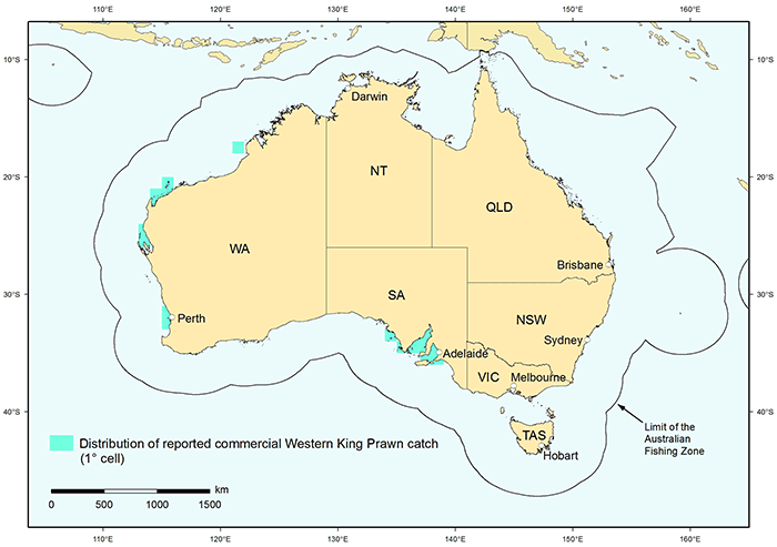 Figure 1: Distribution of reported commercial catch of Western King Prawn in Australian waters, 2010 (calendar year) 