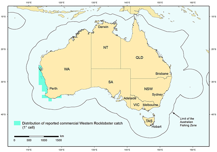 Figure 1: Distribution of reported commercial catch of Western Rocklobster in Australian waters, 2010 
