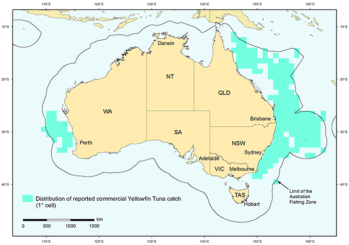 Figure 1: Distribution of reported commercial catch of Yellowfin Tuna in Australian fisheries, 2010 