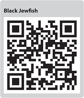Black Jewfish QR code