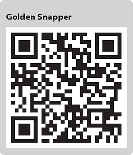 Golden Snapper QR code
