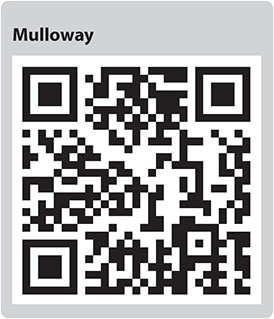 Mulloway QR code