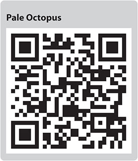 Pale Octopus QR code
