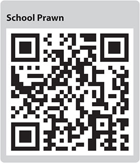 School Prawn QR code