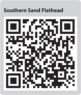 Southern Flathead QR code