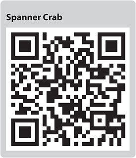 Spanner
