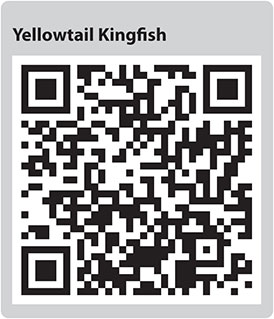 Yellowtail Kingfish QR code