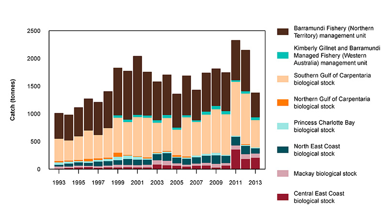 Figure 2: Commercial catch of Barramundi in Australian waters, 1993 to 2013 (calendar years)
