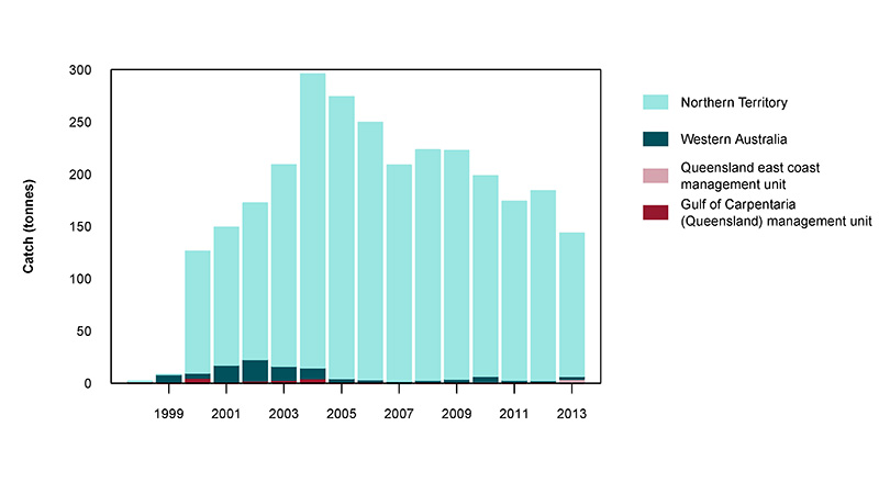 Figure 2: Commercial catch of Black Jewfish in Australian waters, 1998 to 2013 (calendar years)