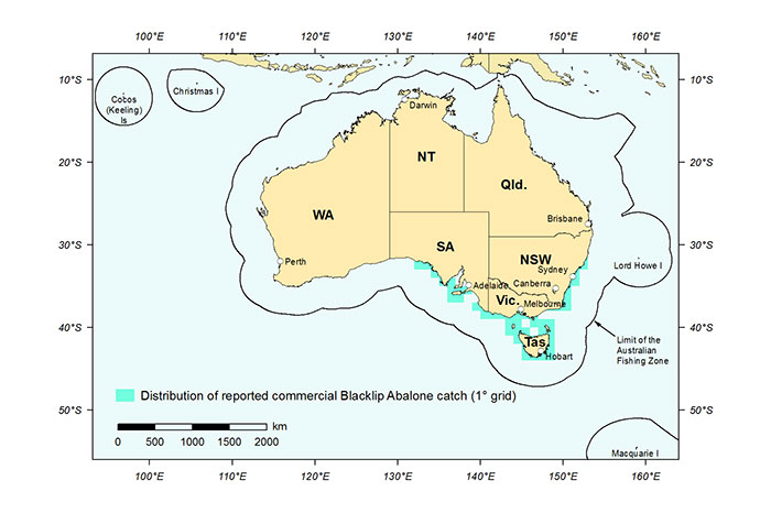 Figure 1: Distribution of reported commercial catch of Blacklip Abalone in Australian waters, 2013 (calendar year)