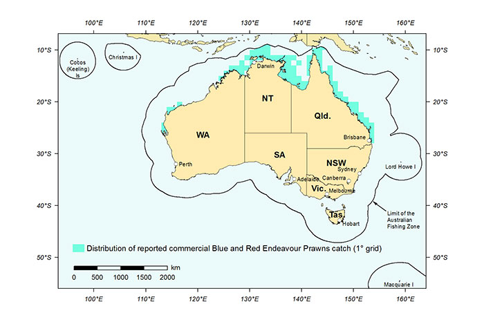 Figure 1: Distribution of reported commercial catch of Blue and Red Endeavour Prawns in Australian waters, 2013 (calendar year)