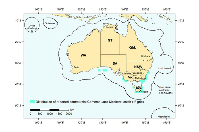 Figure 1: Distribution of reported commercial catch of Common Jack Mackerel in Australian waters, 2013 (calendar year)