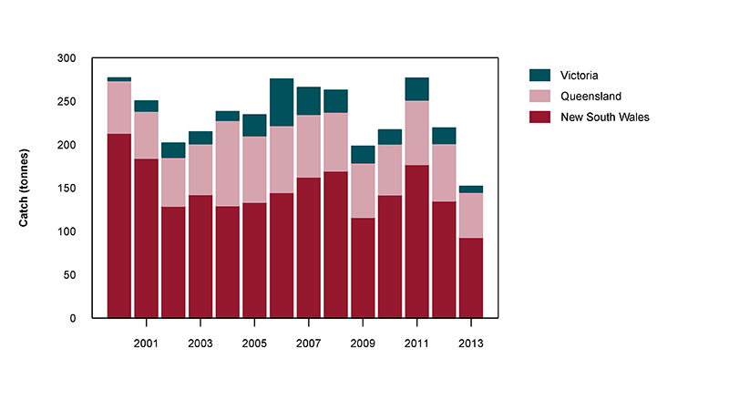 Figure 2: Commercial catch of Dusky Flathead in Australian waters, 2002–10 (calendar year)