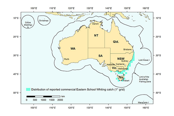 Figure 1: Distribution of reported commercial catch of Eastern School Whiting in Australian waters, 2013 (calendar year)
