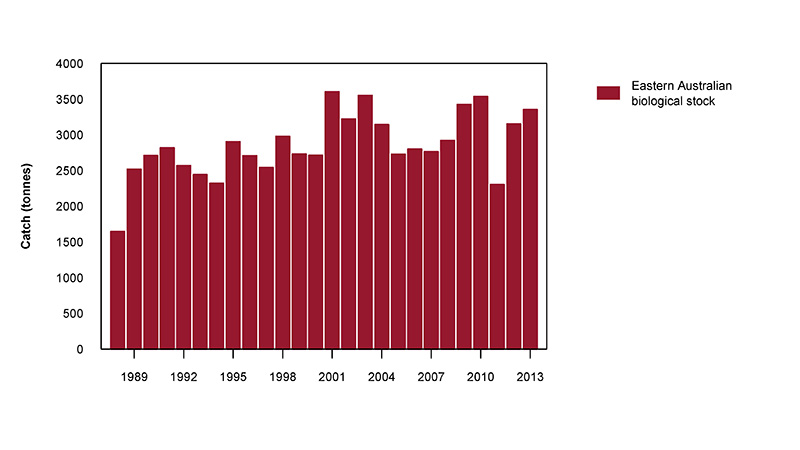 a) Commercial catch of Eastern King Prawn in Australian waters, 2000–10 (calendar year)