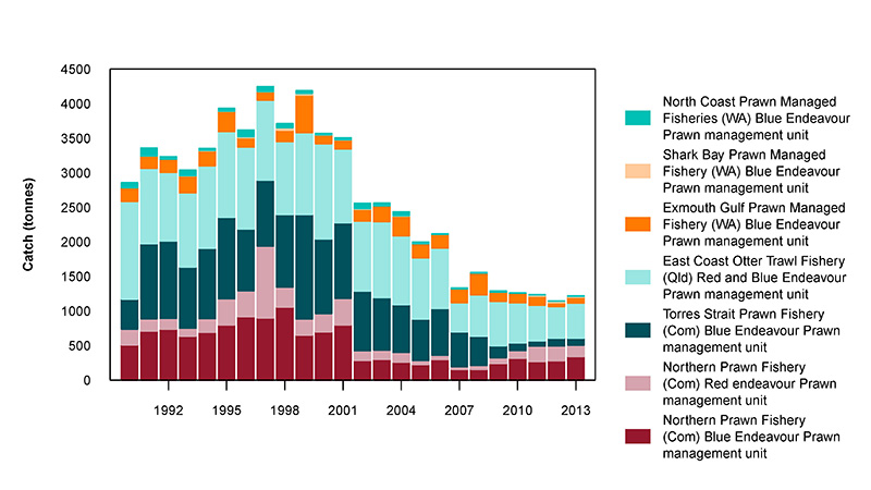 Figure 2: Commercial catch of Blue and Red Endeavour Prawns in Australian waters, 1990 to 2013 (calendar years)