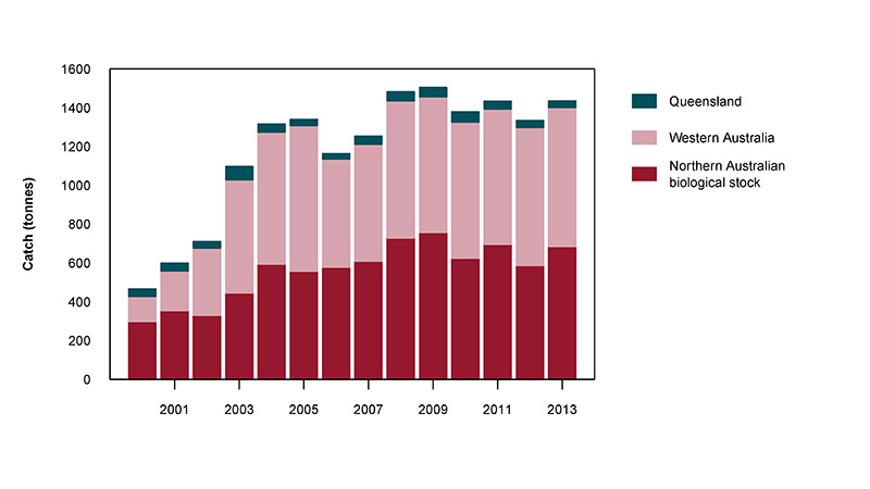 Figure 2: Commercial catch of Goldband Snapper in Australian waters, 2000 to 2013