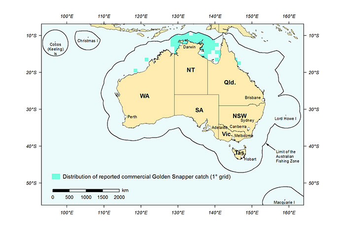 Figure 1: Distribution of reported commercial catch of Golden Snapper in Australian waters, 2013 (calendar year)