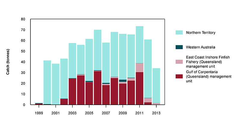 Figure 2: Commercial catch of Golden Snapper in Australian waters, 1999 to 2013 (calendar years)