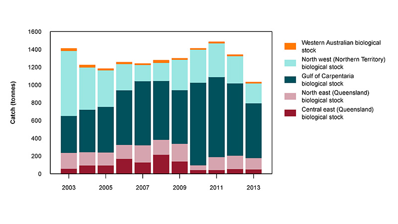 Figure 2: Commercial catch of Grey Mackerel in Australian waters, 2003 to 2013 (calendar years)