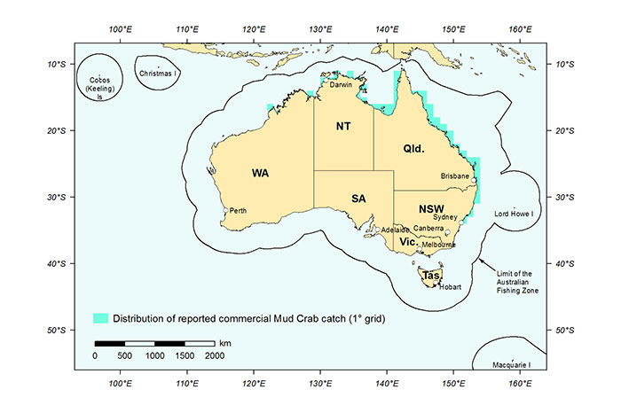 Figure 1: Distribution of reported commercial catch of Giant Mud Crab in Australian waters, 2013 (calendar year)