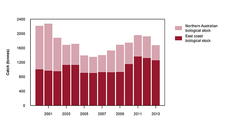 Figure 2: Commercial catch of Giant Mud Crab in Australian waters, 2000 to 2013 (calendar years)