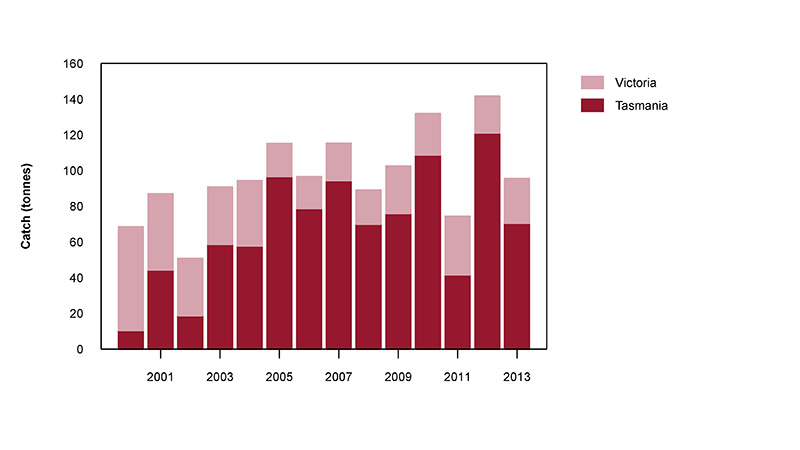 Figure 1: Distribution of reported commercial catch of Pale Octopus in Australian waters, 2013 (calendar year)