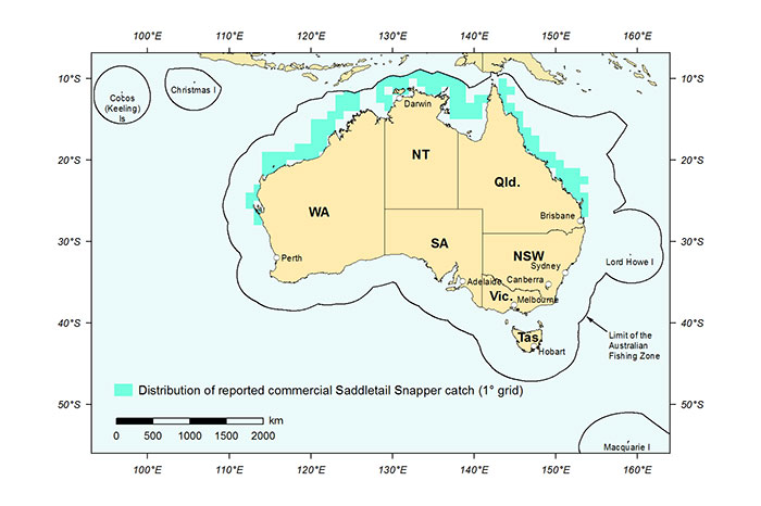 Figure 1: Distribution of reported commercial catch of Saddletail Snapper in Australian waters, 2013 (calendar year)