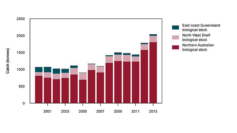 Figure 2: Commercial catch of Saddletail Snapper in Australian waters, 2000 to 2013 (calendar years)
