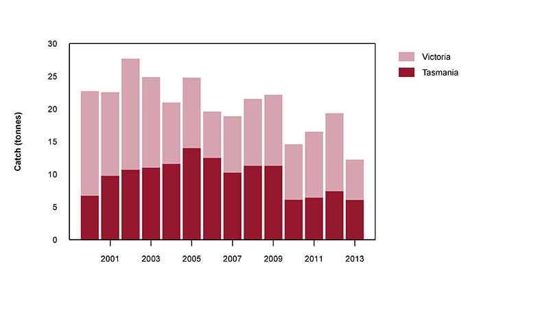 Figure 2: Commercial catch of Southern Sand Flathead in Australian waters, 2000 to 2013 (calendar years)