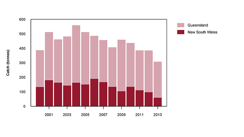 Figure 2: Commercial catch of Sand Whiting in Australian waters, 2000 to 2013 (calendar year)